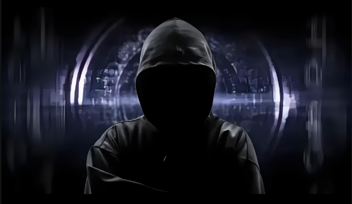 黑客24小时在线全天接单网站